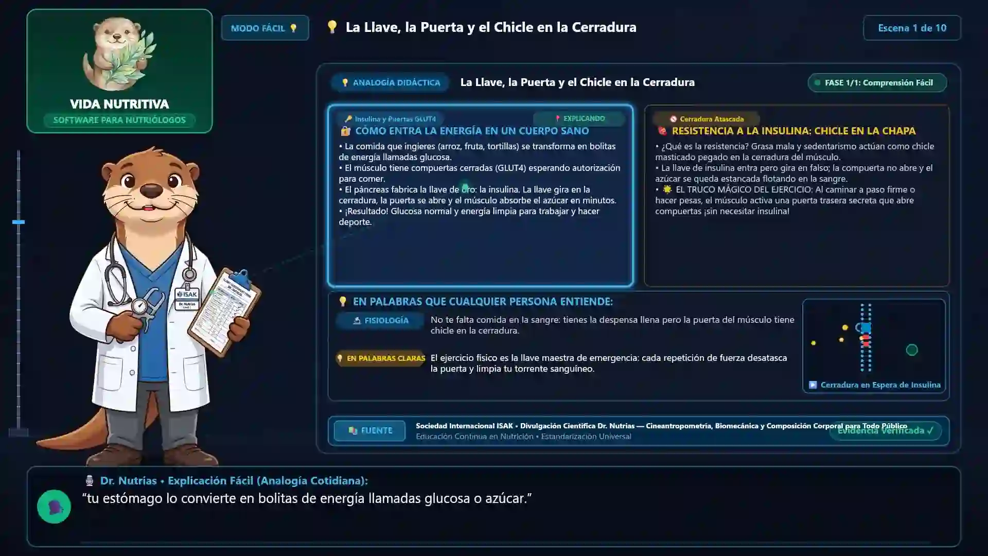 Minicurso: Diabetes en Modo Fácil: Conceptos Clave para la Consulta Diaria