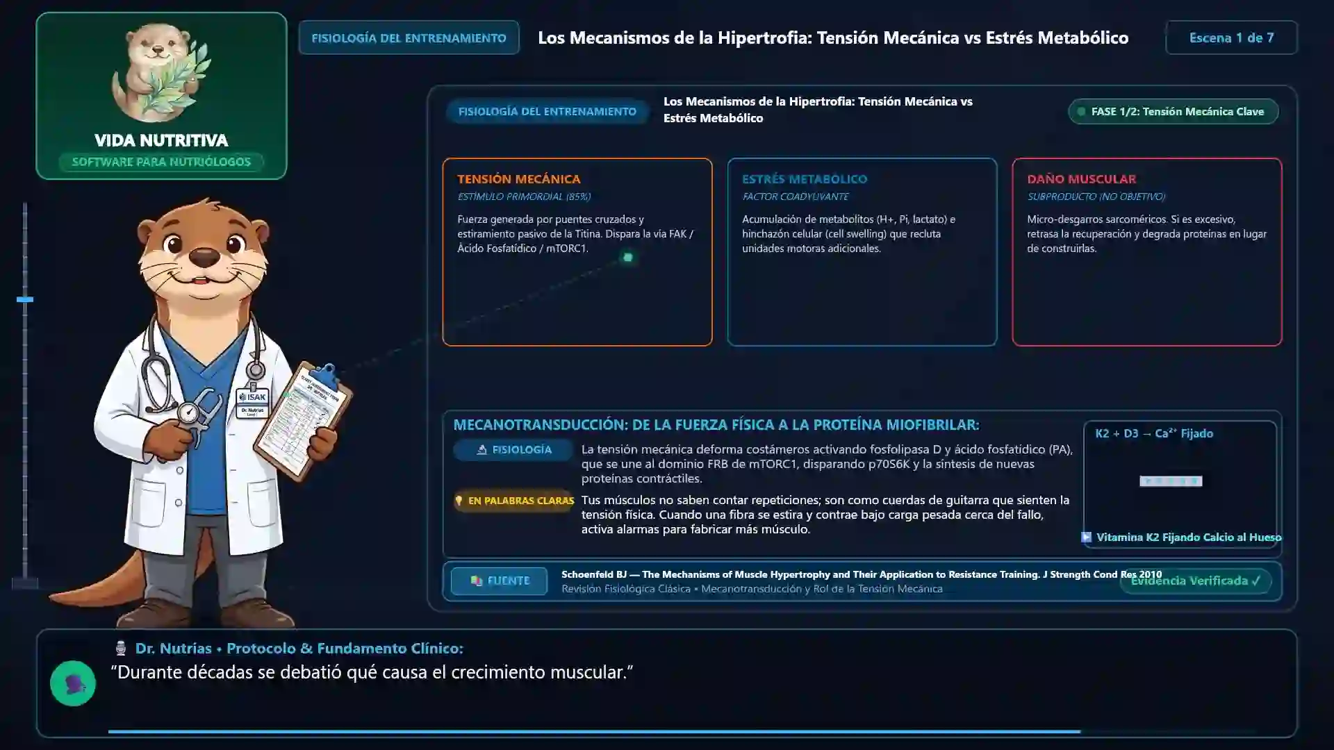 Minicurso: Hipertrofia Muscular y Técnicas de Entrenamiento: Síntesis Proteica Miofibrilar