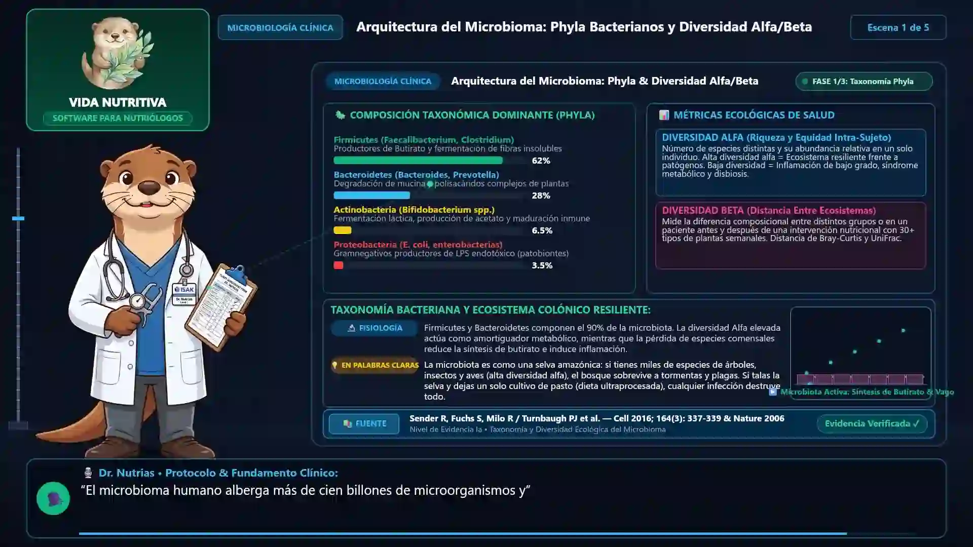 Minicurso: Microbiota Intestinal y el Eje Intestino-Cerebro: Neurotransmisores y SCFA