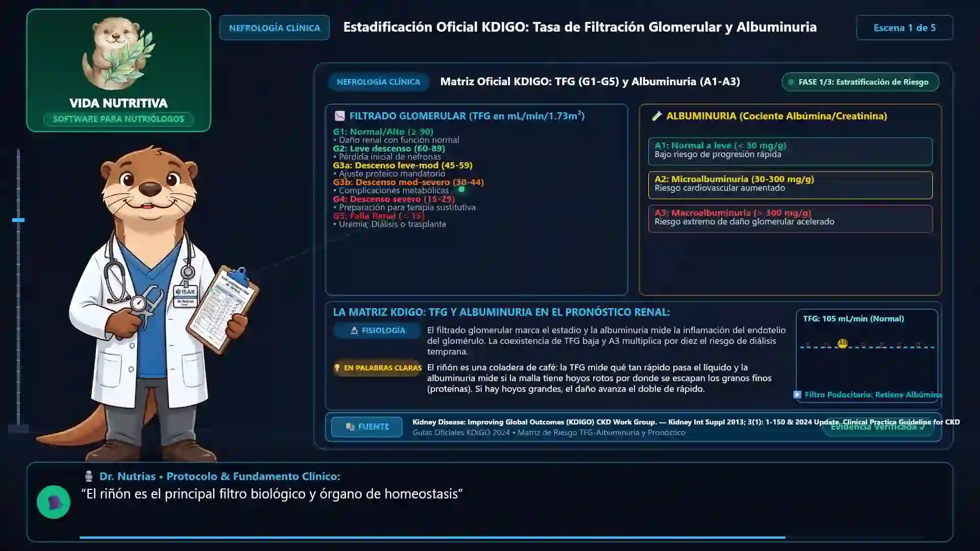 Minicurso: Enfermedad Renal Crónica (ERC): Manejo de Proteínas, Fósforo y Potasio