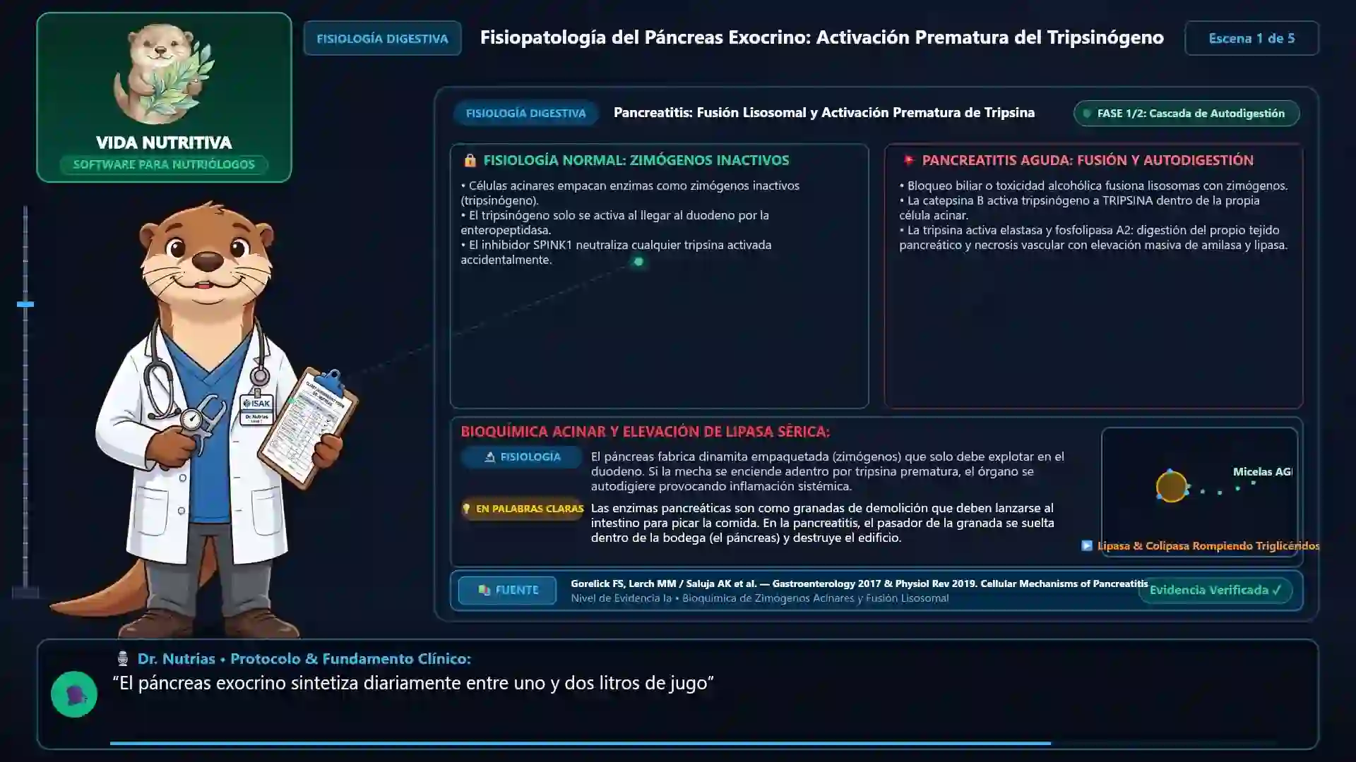 Minicurso: Pancreatitis Aguda e Insuficiencia Pancreática Exocrina (IPE)