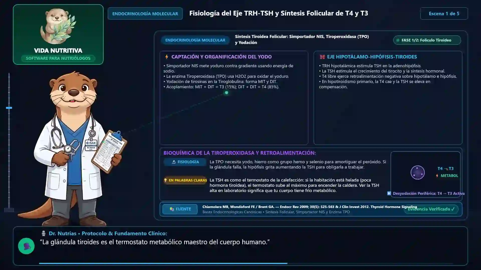 Minicurso: Hipotiroidismo y Tiroiditis de Hashimoto: Inmunonutrición y Eje Tiroideo