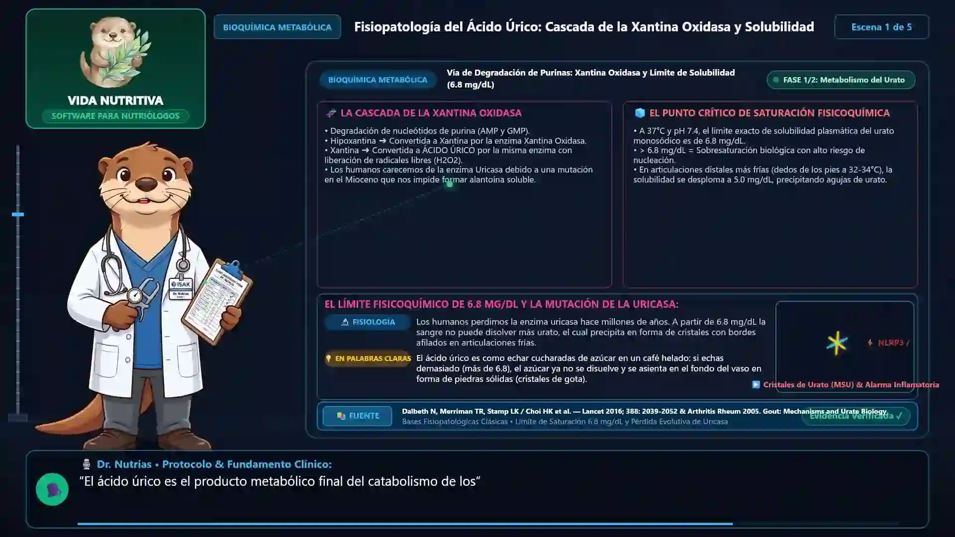 Minicurso: Hiperuricemia, Gota y Metabolismo de Purinas: Abordaje Nutricional