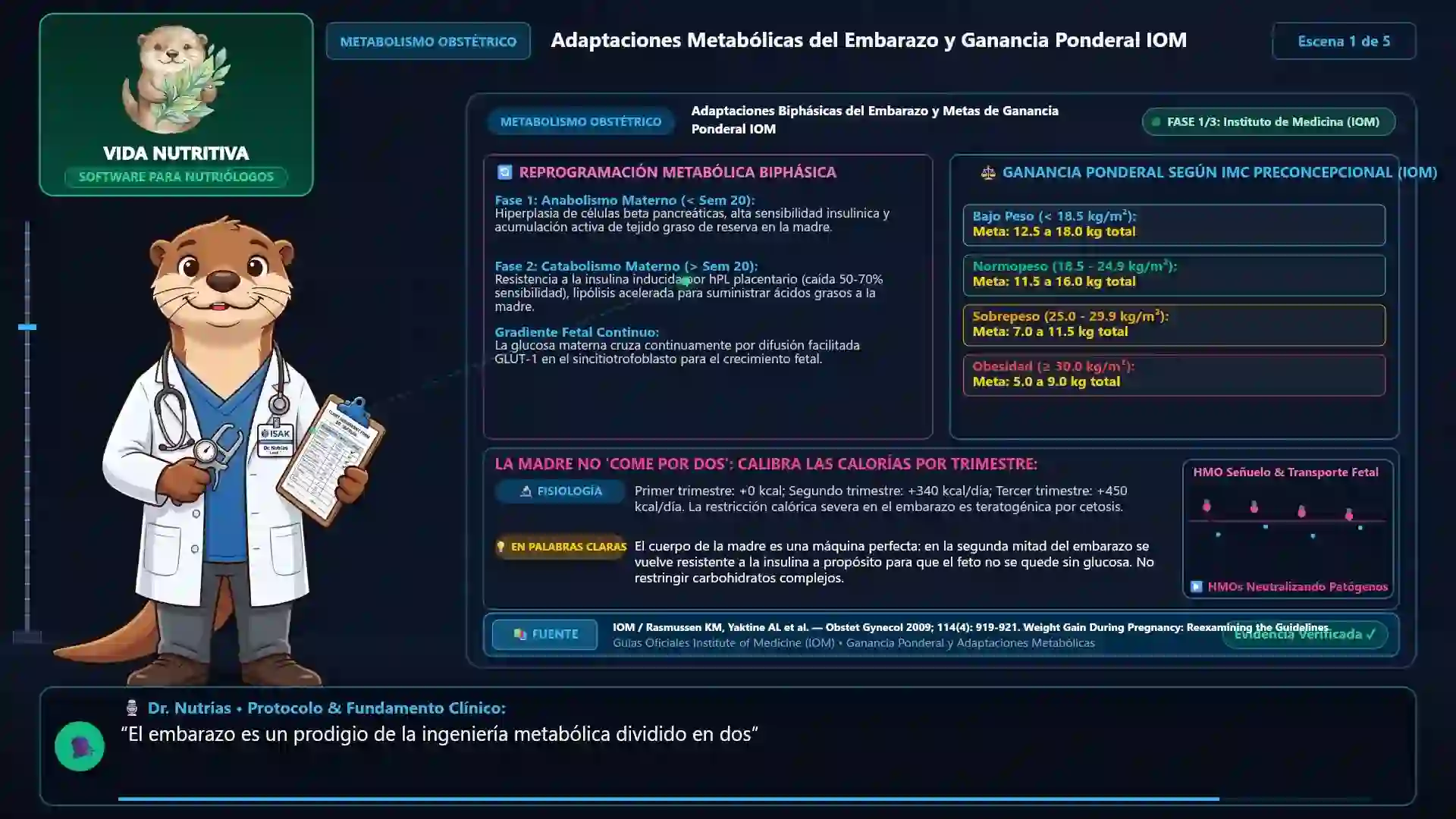 Minicurso: Nutrición Materna, Gestacional y Lactancia: Fisiología Perinatal
