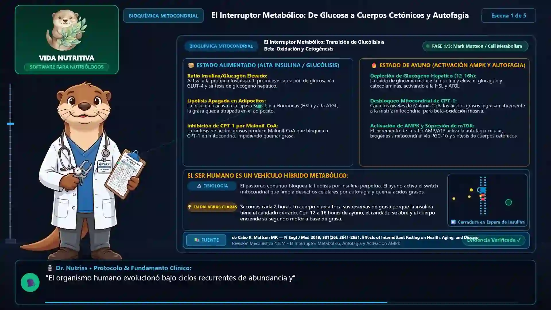 Minicurso: Ayuno Intermitente y Dietas Cetogénicas: Fisiología de la Cetoadaptación
