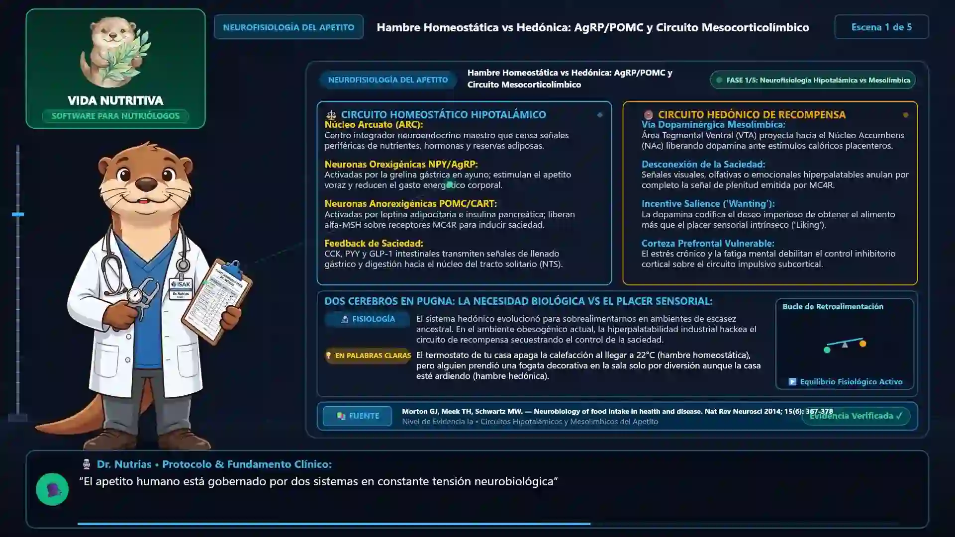 Minicurso: Neurobiología del Apetito: Dopamina, Homeostasis y Eje Intestino-Cerebro