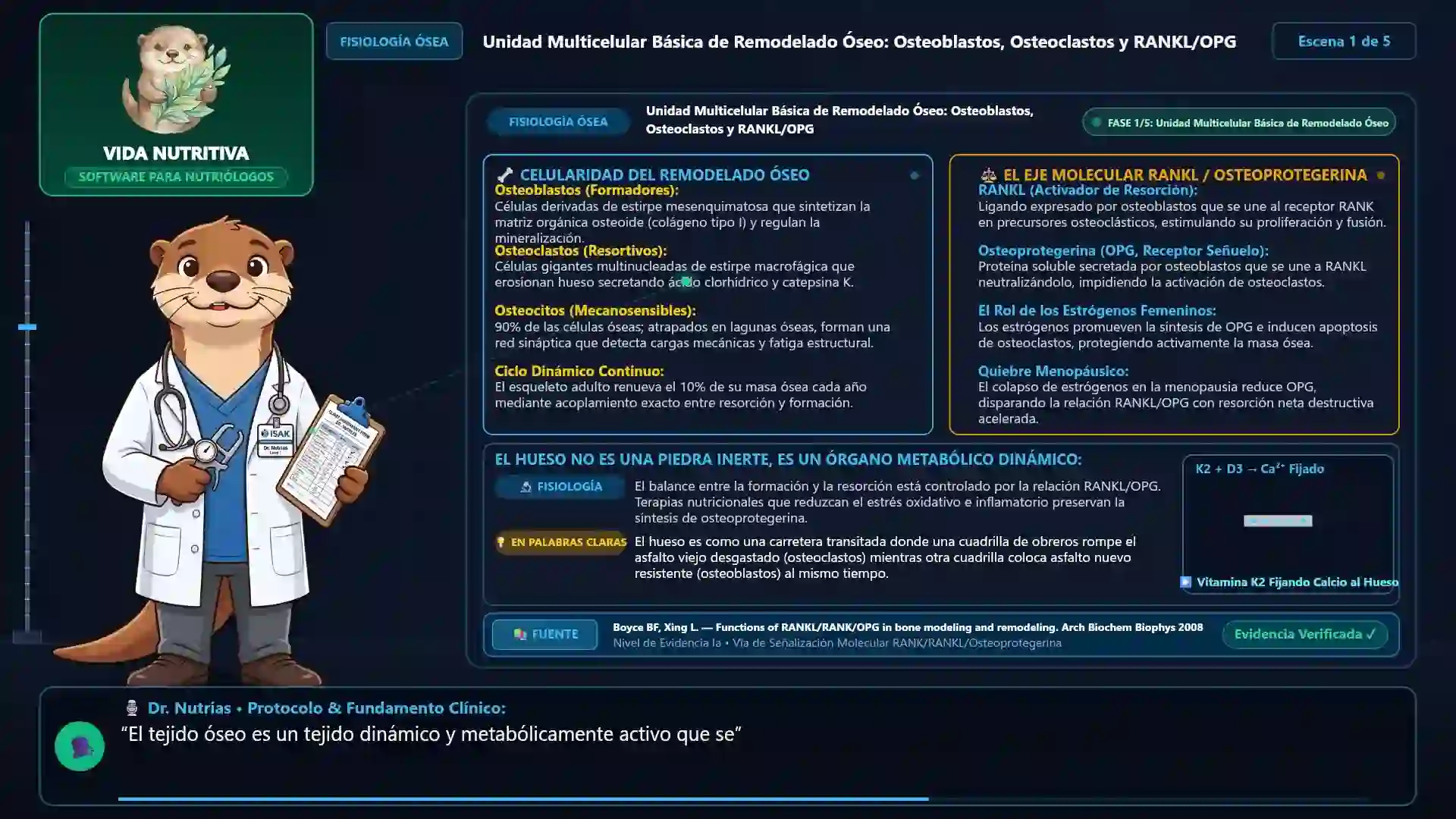 Minicurso: Salud Ósea y Osteoporosis: Eje Calcio, Vitamina D3, K2 y Magnesio