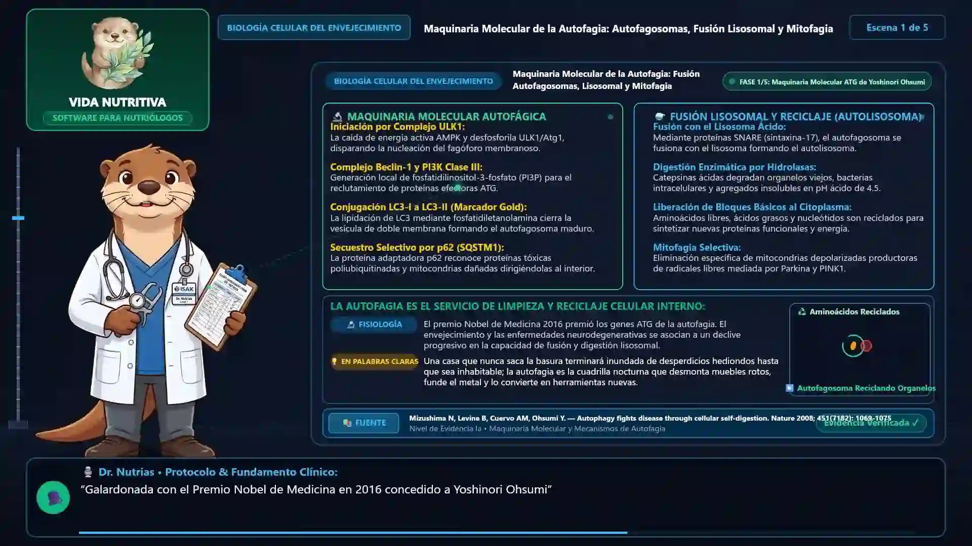 Minicurso: Autofagia Celular, Senescencia y Vías de Longevidad Metabólica
