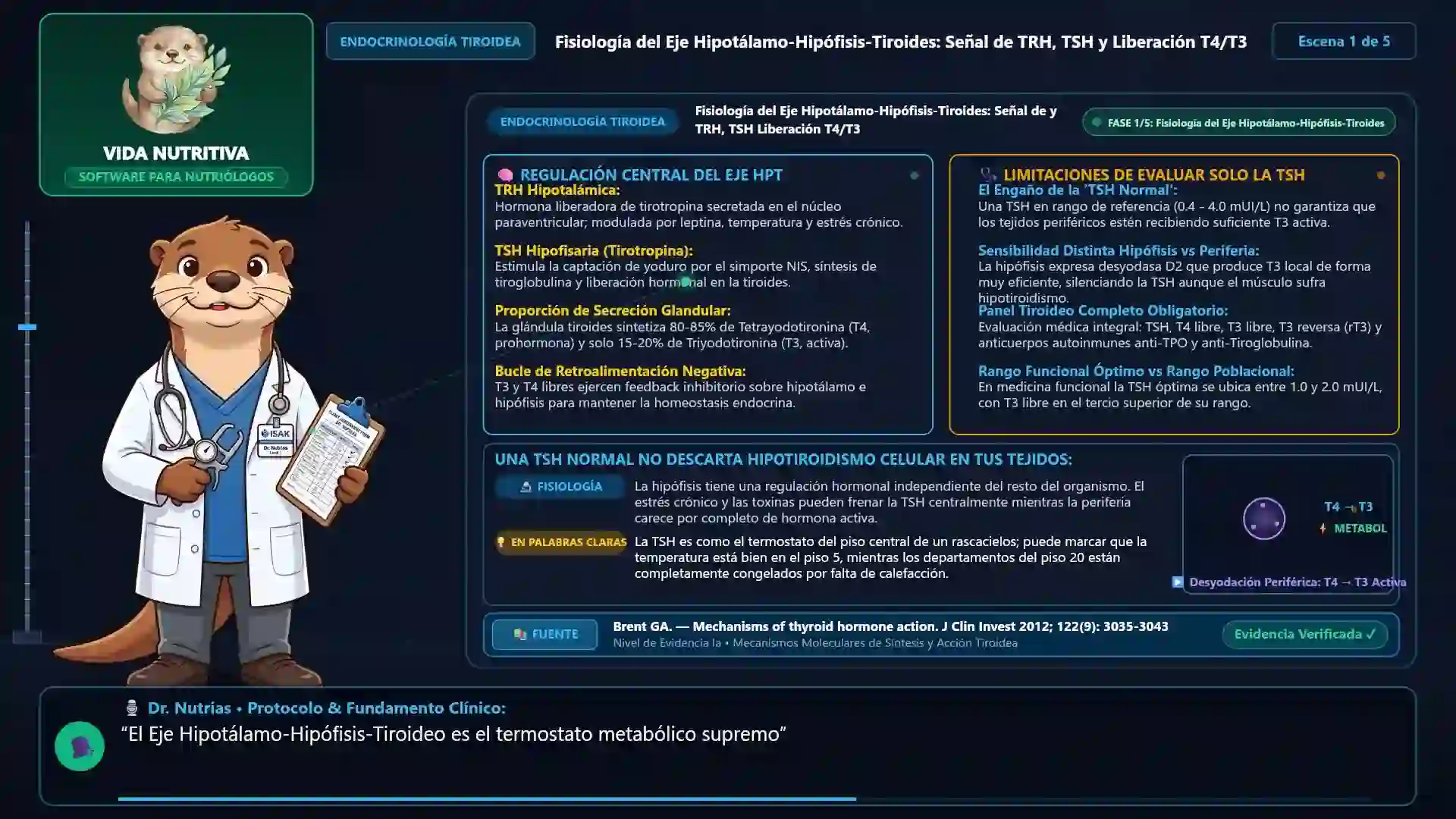Minicurso: Medicina Funcional del Eje Tiroideo y Resistencia Hormonal Periférica